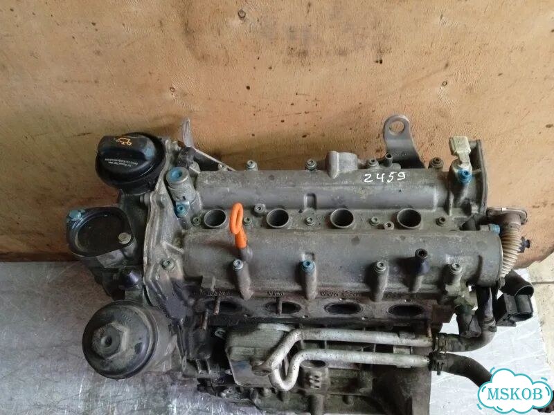 Двигатель BLF Volkswagen Passat B6 1.6 2006 фото 2