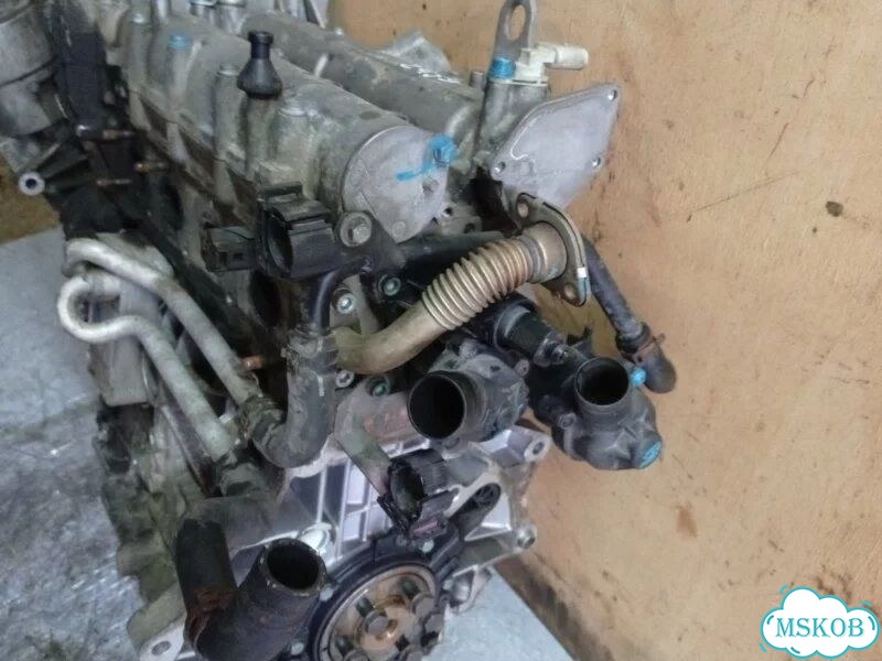 Двигатель BLF Volkswagen Passat B6 1.6 2006 фото 3