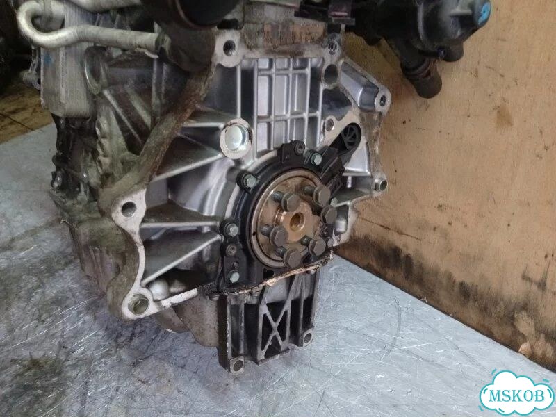 Двигатель BLF Volkswagen Passat B6 1.6 2006 фото 4