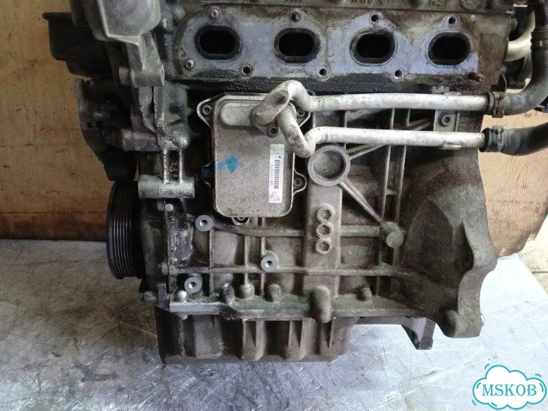 Двигатель BLF Volkswagen Passat B6 1.6 2006 фото 5