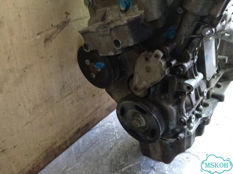 Двигатель BLF Volkswagen Passat B6 1.6 2006 фото 7