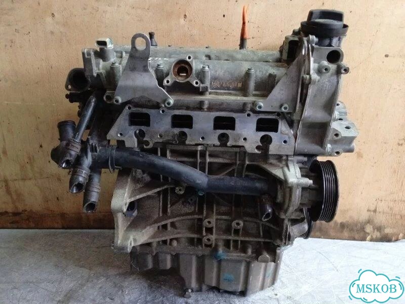 Двигатель BLF Volkswagen Passat B6 1.6 2006 фото 8