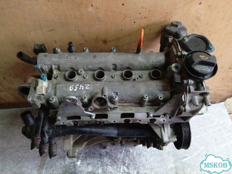 Двигатель BLF Volkswagen Passat B6 1.6 2006 фото 9