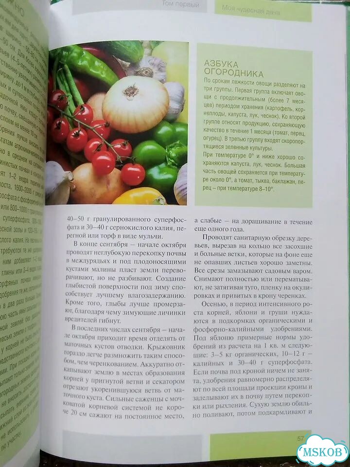 Календарь садовода и огородника. Моя чудесная дача фото 10