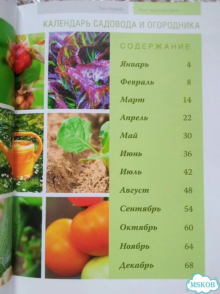 Календарь садовода и огородника. Моя чудесная дача фото 3
