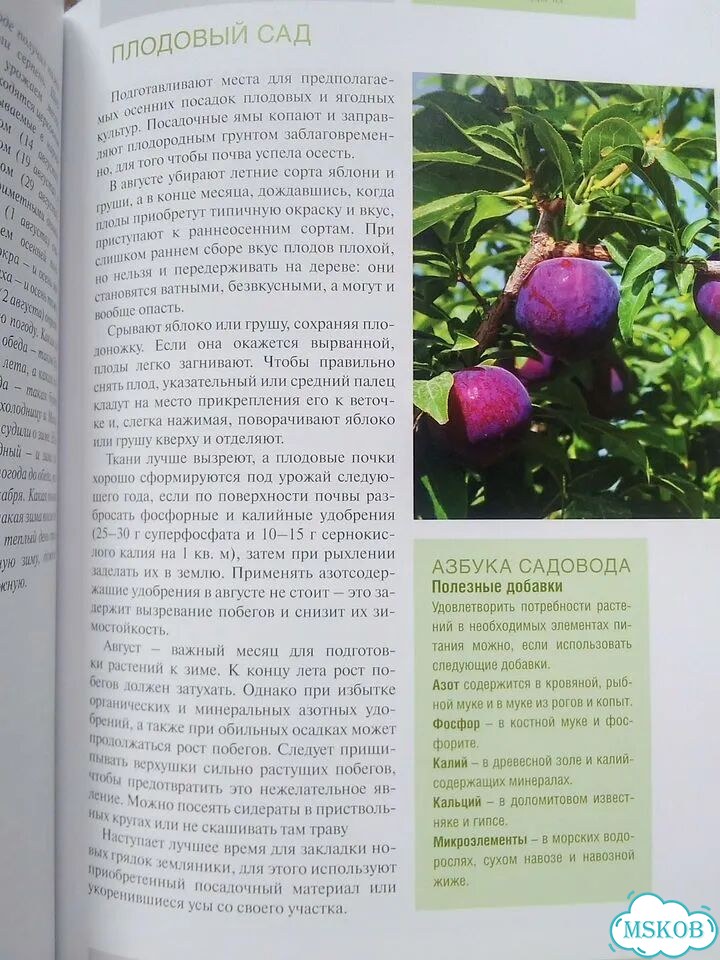 Календарь садовода и огородника. Моя чудесная дача фото 4