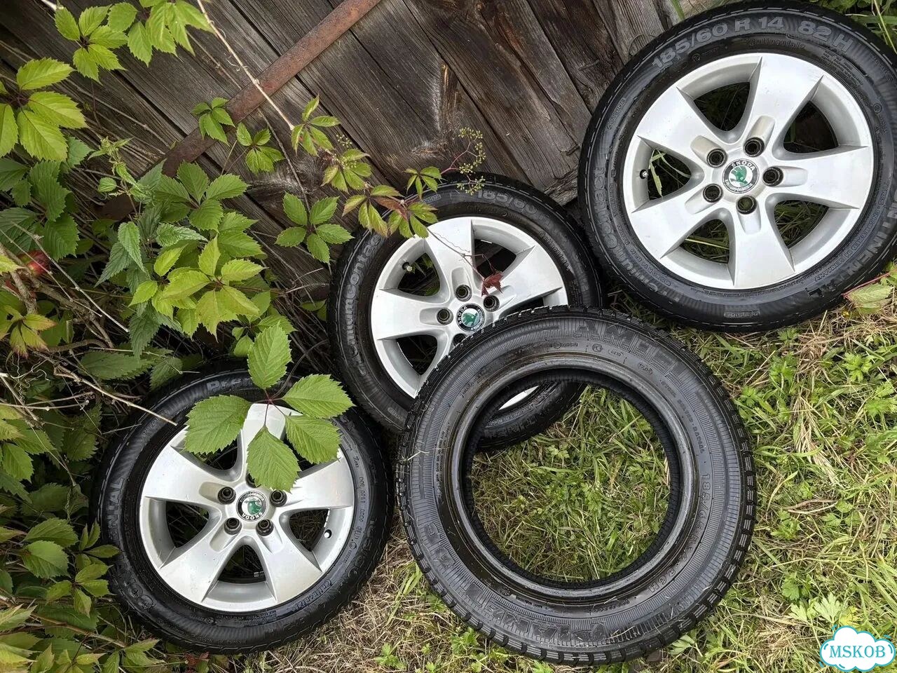 Continental ContiPremiumContact 185/60 R14 фото 2